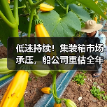 低迷持续!集装箱市场承压,船公司重估全年业绩目标(国际海运新闻资讯)(图4) 低迷持续!集装箱市场承压,船公司重估全年业绩目标(国际海运新闻资讯)(图4)