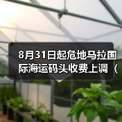 8月31日起危地马拉国际海运码头收费上调（货主货代请注意）（图2）