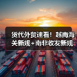 货代外贸速看！越南海关新规+南非收发新规，申报不合规或受罚（图4）
