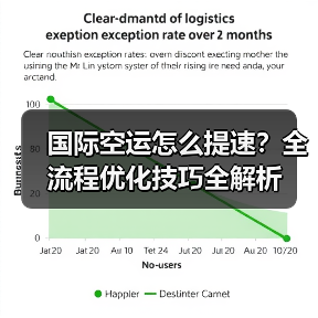 国际空运怎么提速?全流程优化技巧全解析(图2) 国际空运怎么提速?全流程优化技巧全解析(图2)