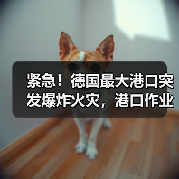 紧急!德国最大港口突发爆炸火灾,港口作业中断!(图1) 紧急!德国最大港口突发爆炸火灾,港口作业中断!(图1)