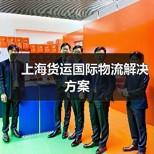 上海货运国际物流解决方案(图3) 上海货运国际物流解决方案(图3)