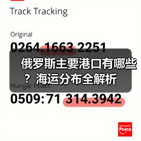 俄罗斯主要港口有哪些?海运分布全解析(图4) 俄罗斯主要港口有哪些?海运分布全解析(图4)