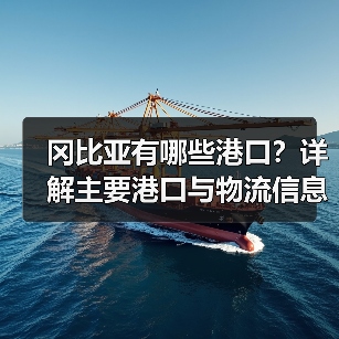 冈比亚有哪些港口?详解主要港口与物流信息(图4) 冈比亚有哪些港口?详解主要港口与物流信息(图4)