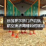 班加罗尔新门户启航,航空货运网络如何赋能印度发展(图4) 班加罗尔新门户启航,航空货运网络如何赋能印度发展(图4)