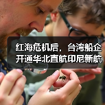 红海危机后，台湾船企开通华北直航印尼新航线，是防御还是进攻？（图3）
