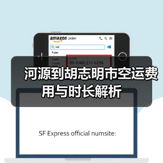 河源到胡志明市空运费用与时长解析
