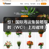 惊！国际海运集装箱指数（WCI）上周骤降3%（国际海运市场风云变幻）（图3）