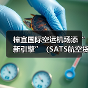 樟宜国际空运机场添“新引擎”（SATS航空货运设施启用，加速货物周转）
