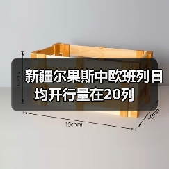 新疆尔果斯中欧班列日均开行量在20列（图3）
