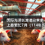 国际海运长滩港迎来史上最繁忙7月（114年历史以来第三个繁忙的月份）（图1）