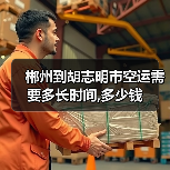 郴州到胡志明市空运需要多长时间,多少钱（图2）
