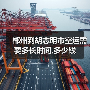 郴州到胡志明市空运需要多长时间,多少钱（图4）