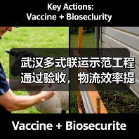 武汉多式联运示范工程通过验收，物流效率提升30%