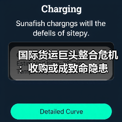 国际货运巨头整合危机:收购或成致命隐患(图3) 国际货运巨头整合危机:收购或成致命隐患(图3)