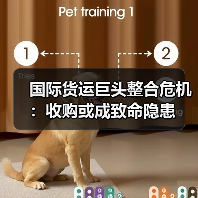 国际货运巨头整合危机:收购或成致命隐患(图4) 国际货运巨头整合危机:收购或成致命隐患(图4)