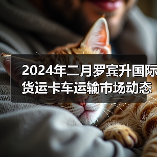2024年二月罗宾升国际货运卡车运输市场动态(图3) 2024年二月罗宾升国际货运卡车运输市场动态(图3)