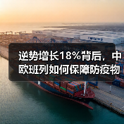 逆势增长18%背后，中欧班列如何保障防疫物资运输？（图2）