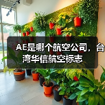 AE是哪个航空公司,台湾华信航空标志(图2) AE是哪个航空公司,台湾华信航空标志(图2)