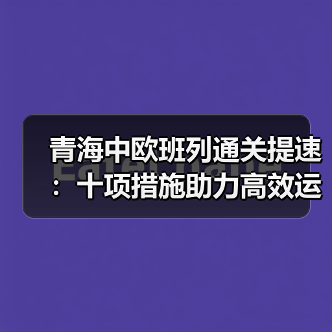 青海中欧班列通关提速：十项措施助力高效运转（图2）