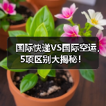 国际快递VS国际空运,5项区别大揭秘!(图3) 国际快递VS国际空运,5项区别大揭秘!(图3)