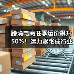 跨境电商旺季运价飙升50%！运力紧张成行业难题（图4）