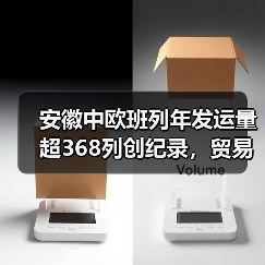 安徽中欧班列年发运量超368列创纪录，贸易额破百亿引关注（图4）