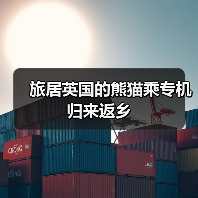 旅居英国的熊猫乘专机归来返乡（图2）