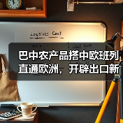 巴中农产品搭中欧班列直通欧洲，开辟出口新路径（图3）