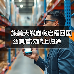 旅美大熊猫将启程回国 幼崽首次踏上归途（图4）