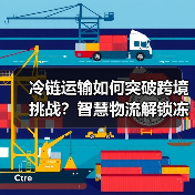 冷链运输如何突破跨境挑战？智慧物流解锁冻品新路径（图2）