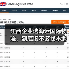 江西企业选海运国际物流，到底该不该找本地服务商？看完这几点利弊再决定（图2）