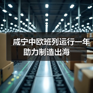 咸宁中欧班列运行一年助力制造出海（图4）