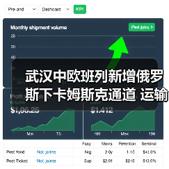 武汉中欧班列新增俄罗斯下卡姆斯克通道 运输时效提升2-3天（图3）