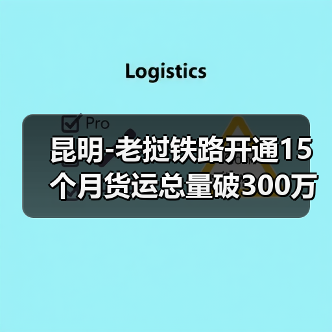昆明-老挝铁路开通15个月货运总量破300万吨（图4）