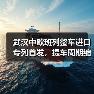 武汉中欧班列整车进口专列首发,提车周期缩短三成(图3) 武汉中欧班列整车进口专列首发,提车周期缩短三成(图3)