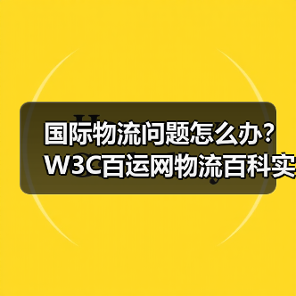 国际物流问题怎么办？W3C百运网物流百科实用指南（图1）