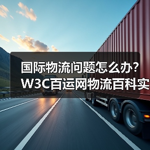 国际物流问题怎么办？W3C百运网物流百科实用指南（图2）