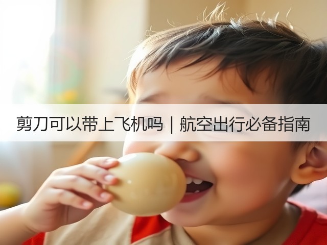 剪刀可以带上飞机吗|航空出行必备指南(图3) 剪刀可以带上飞机吗|航空出行必备指南(图3)