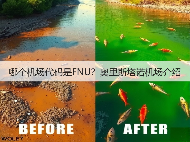 哪个机场代码是FNU？奥里斯塔诺机场介绍