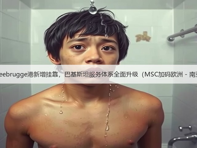 国际海运Zeebrugge港新增挂靠,巴基斯坦服务体系全面升级(MSC加码欧洲 - 南亚航线:)(图1) 国际海运Zeebrugge港新增挂靠,巴基斯坦服务体系全面升级(MSC加码欧洲 - 南亚航线:)(图1)