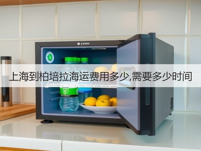 上海到柏培拉海运费用多少,需要多少时间(图2)