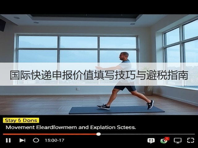 国际快递申报价值填写技巧与避税指南(图2) 国际快递申报价值填写技巧与避税指南(图2)