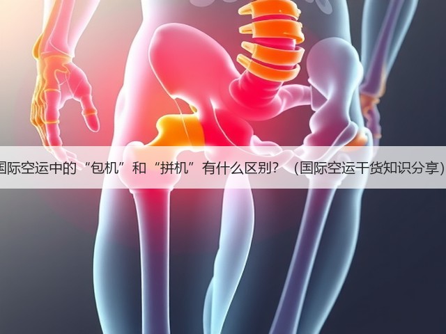 国际空运中的“包机”和“拼机”有什么区别？（国际空运干货知识分享）(图3)