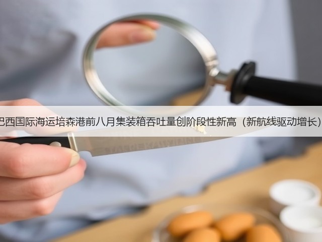 巴西国际海运培森港前八月集装箱吞吐量创阶段性新高(新航线驱动增长)(图3) 巴西国际海运培森港前八月集装箱吞吐量创阶段性新高(新航线驱动增长)(图3)