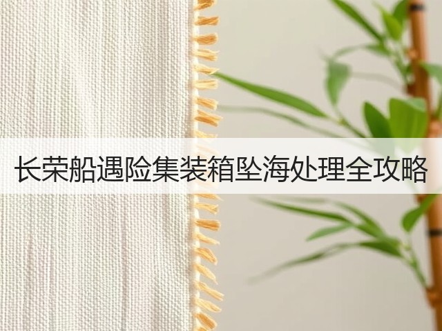长荣船遇险集装箱坠海处理全攻略(图3)