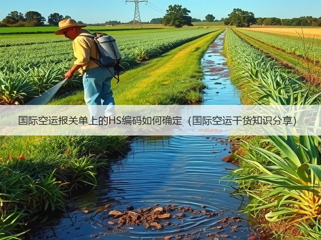 国际空运报关单上的HS编码如何确定(国际空运干货知识分享)(图2) 国际空运报关单上的HS编码如何确定(国际空运干货知识分享)(图2)
