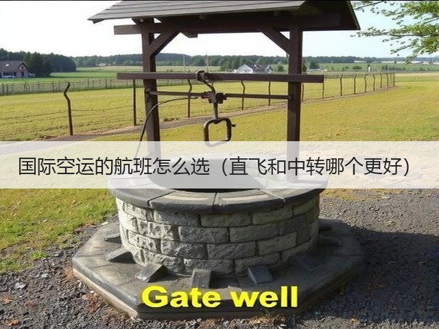 国际空运的航班怎么选(直飞和中转哪个更好)(图3) 国际空运的航班怎么选(直飞和中转哪个更好)(图3)