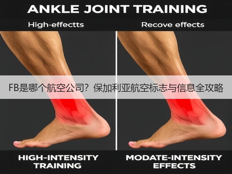 FB是哪个航空公司?保加利亚航空标志与信息全攻略 FB是哪个航空公司?保加利亚航空标志与信息全攻略