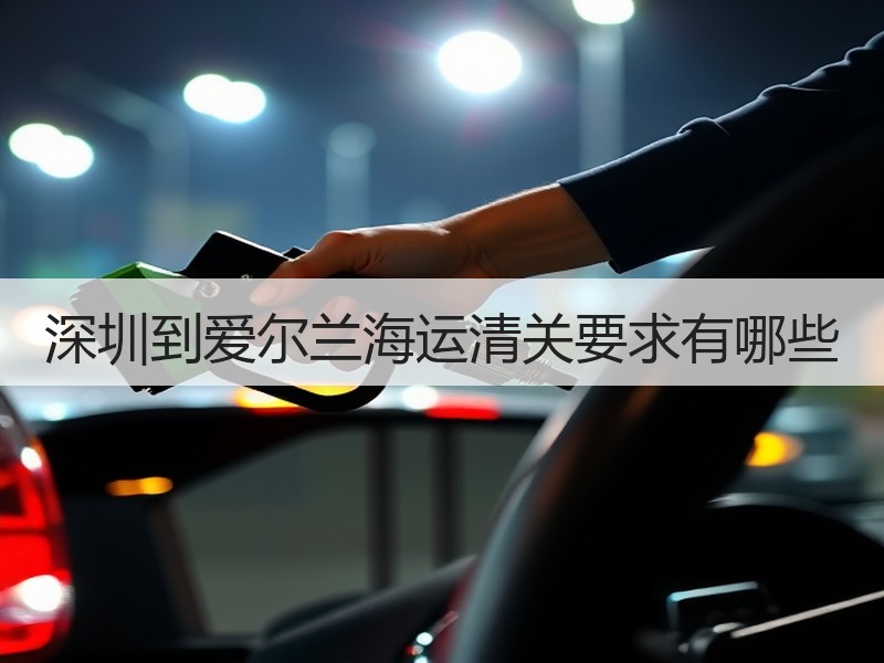 深圳到爱尔兰海运清关要求有哪些